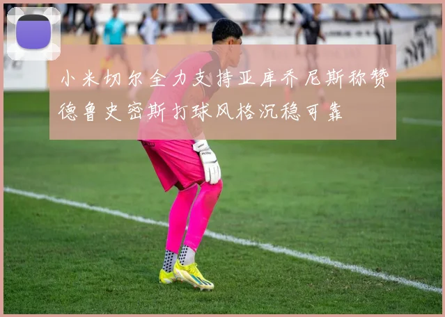 小米切尔全力支持亚库乔尼斯称赞德鲁史密斯打球风格沉稳可靠
