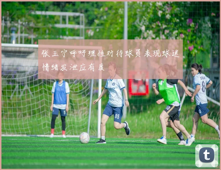 张玉宁呼吁理性对待球员表现球迷情绪发泄应有度