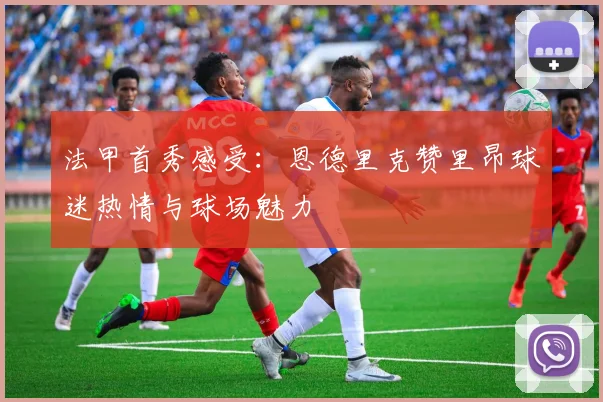 法甲首秀感受：恩德里克赞里昂球迷热情与球场魅力