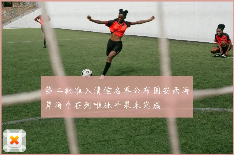 第二批准入清偿名单公布国安西海岸海牛在列唯独平果未完成